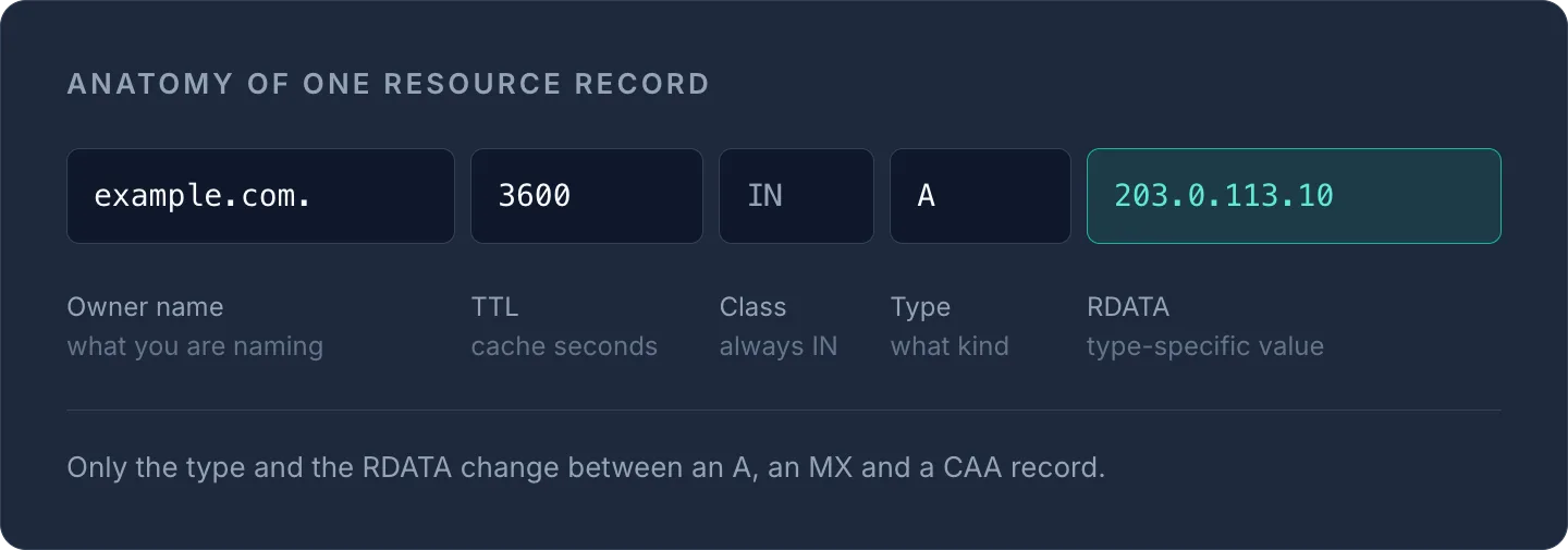 a DNS resource record's five fields: owner name example.com., TTL 3600, class IN, type A, RDATA 203.0.113.10.