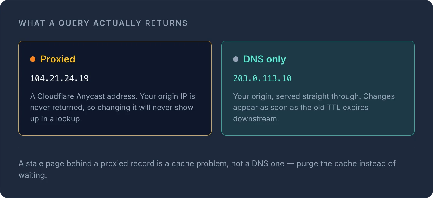 Comparison showing a proxied record returns a Cloudflare Anycast IP (104.21.24.19) while DNS-only returns the origin IP (203.